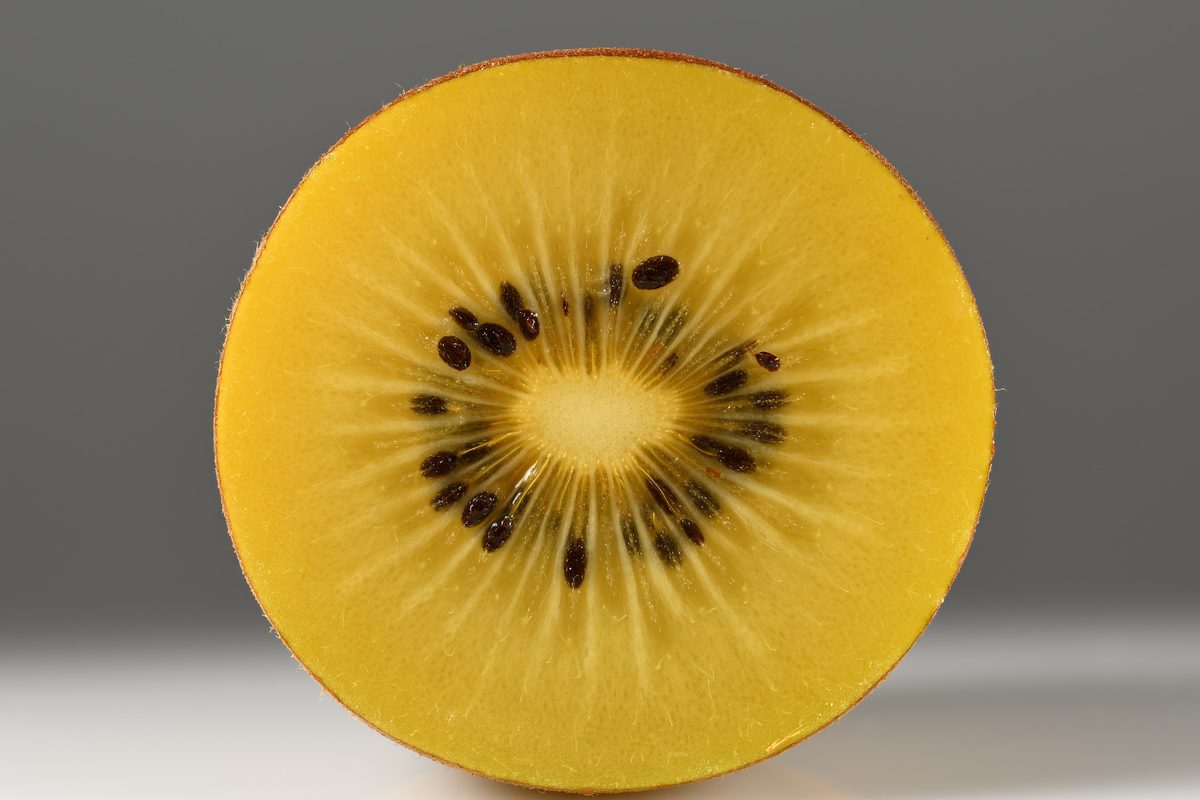 Cross section of a gold kiwifruit
